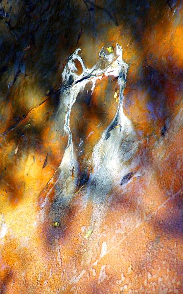 DANSE D'ARAMIS 55x115cm - Collection PARIS - FRANCE.jpg